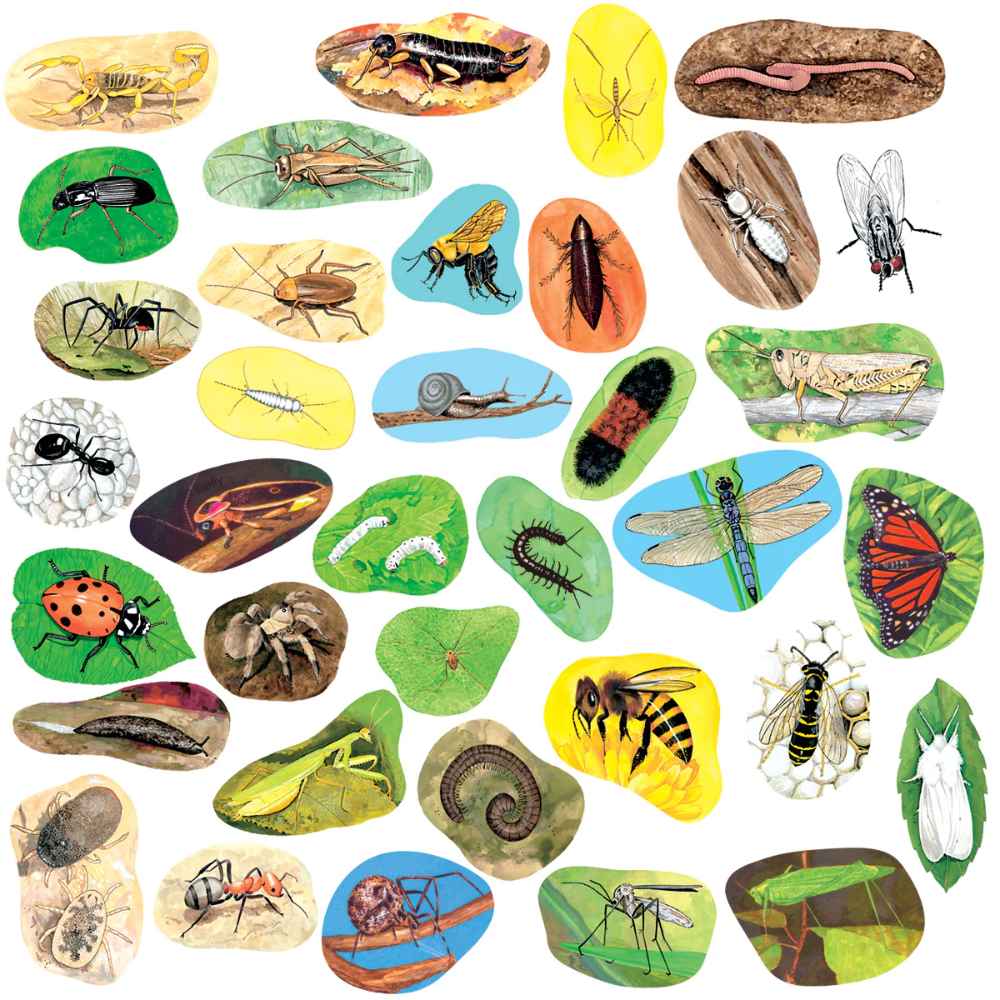 Creepy Crawlers Felt - 36pcs