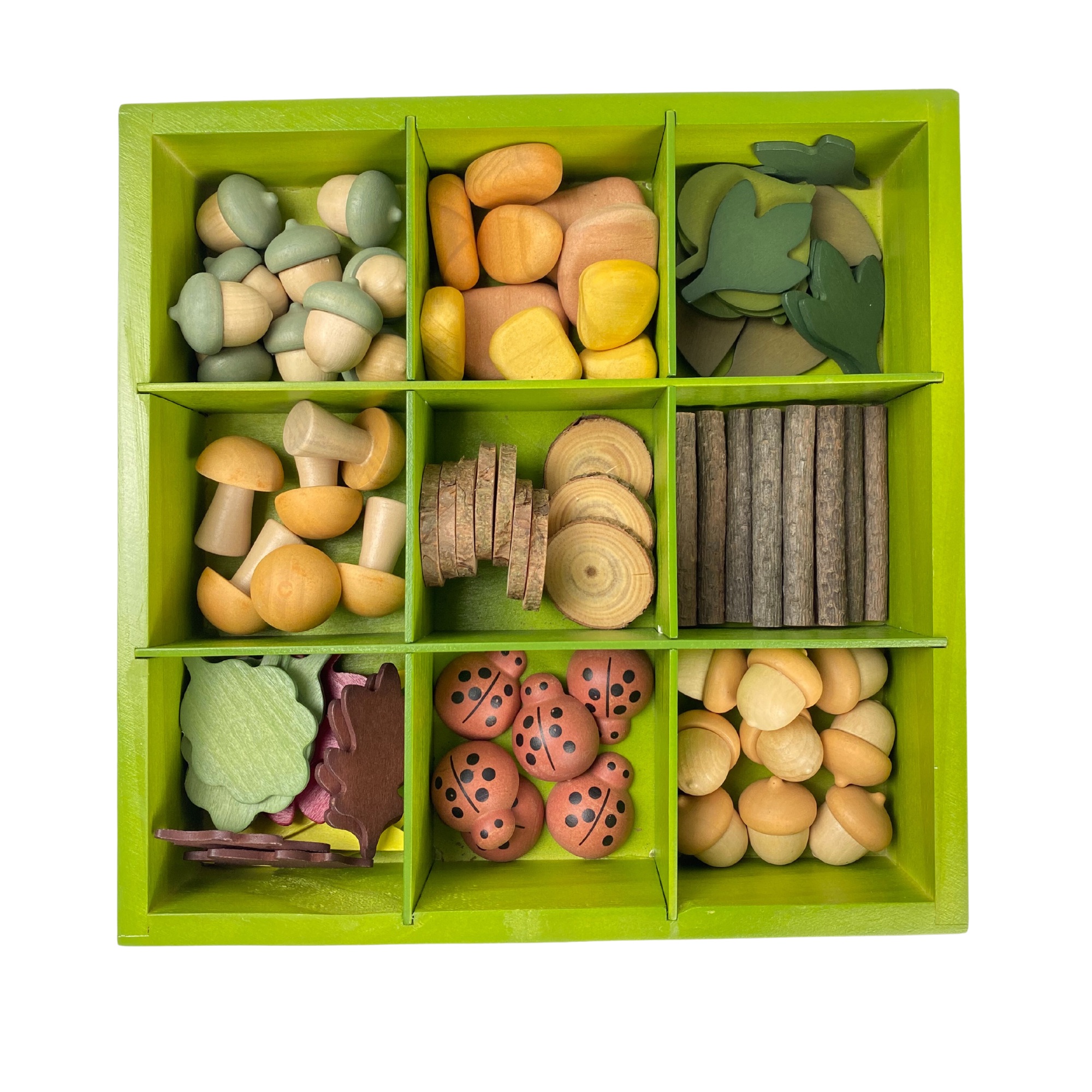 Nature's Sorting Box - 90pcs